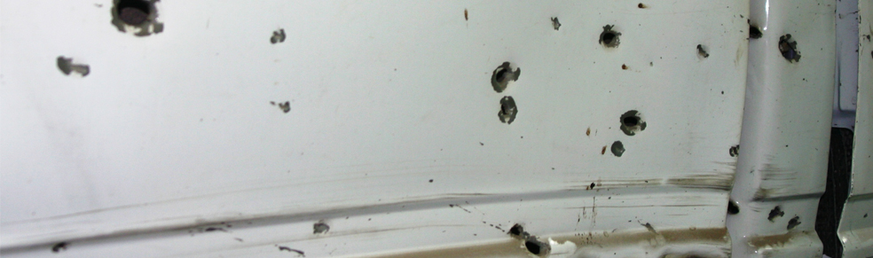 Howard Auto Preservation